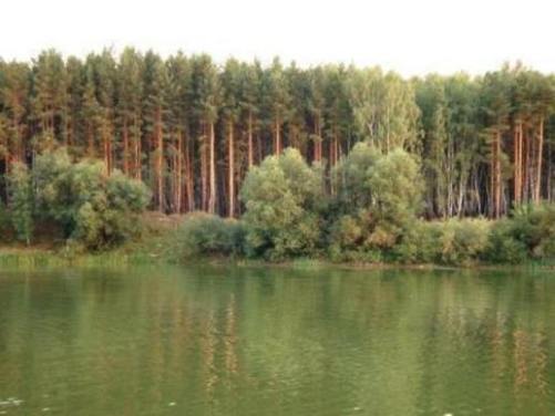 Река Ока и пруды на Орловской земле